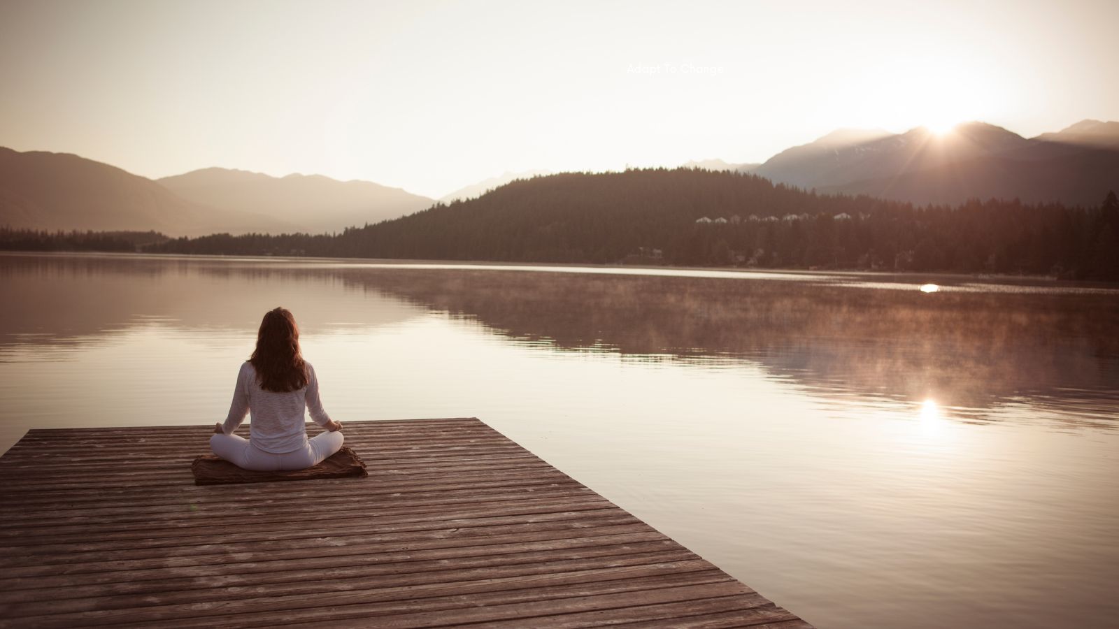 adapting-to-change-by-meditation