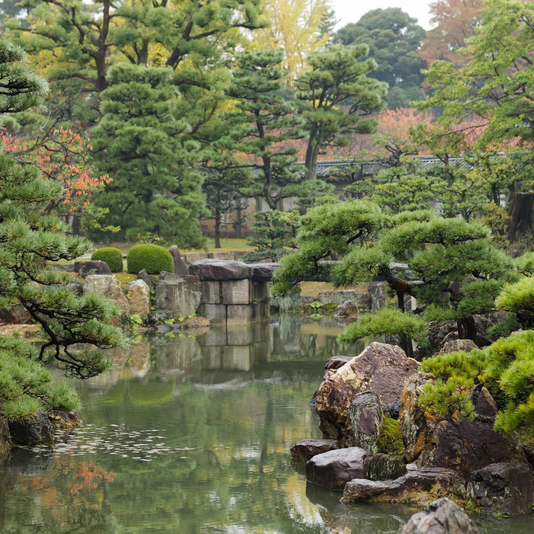 Mastering Anger Finding Peace and Control Through Zen