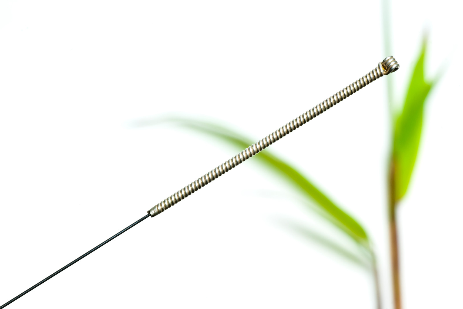 acupuncture-4