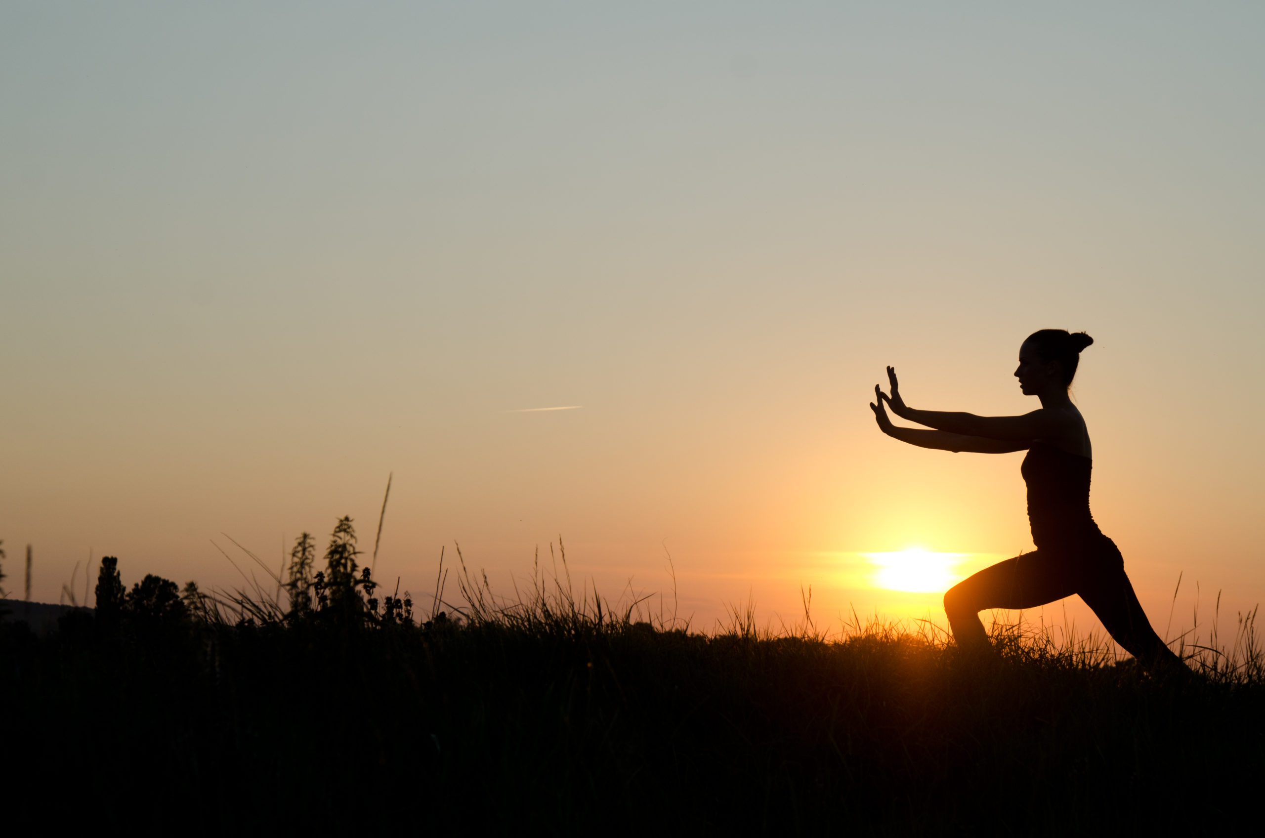concepts-of-tai-chi-3
