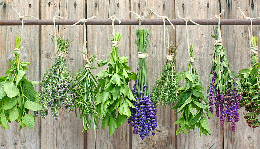 natural-healing-3 natural-healing-3